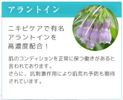スクリーンショット (1250).png