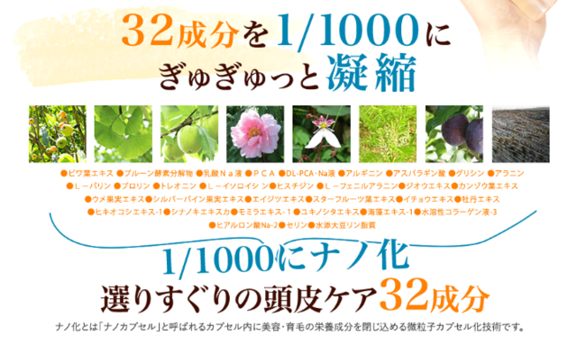 スクリーンショット (298).png